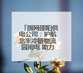 国网邵阳供电公司：护航北丰冷链物流园用电 助力跨境电商新引擎起航